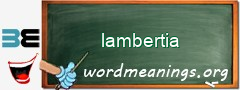 WordMeaning blackboard for lambertia